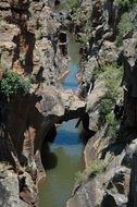 Landscape of African river