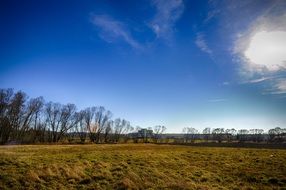 landscape of field under the blue sky