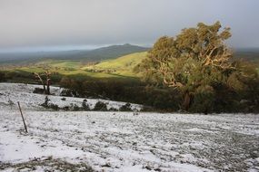 black field in the snow
