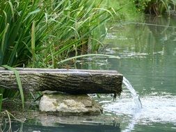 Lake Reed Water Landscape