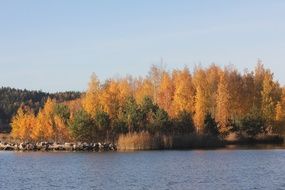 distant view of a picturesque autumn forest near the water