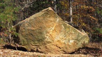 huge stone among the forest on a sunny day