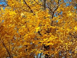 Autumn Time Of Year