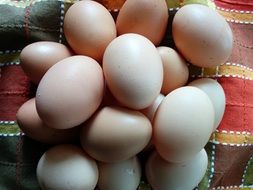 chicken eggs on a towel