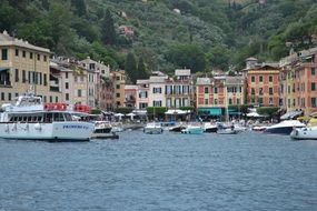 cityscape of harbor in portofino