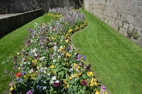 flower bed on a green hill
