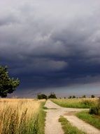 Clouds of the thunderstorm