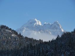 Forest beside the mountains