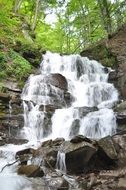 green trees over cascading waterfall