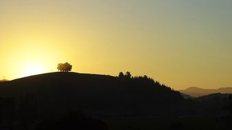 yellow Sunset on Hill as a romantic scene