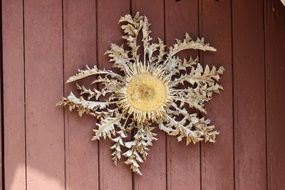 dry flower on a wooden door