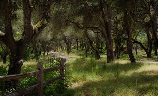 fence among picturesque countryside