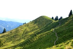 picturesque meadows in the oberstdorf community