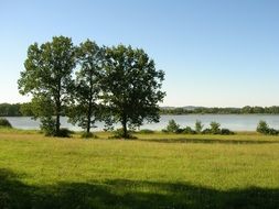 green trees and bushes on the banks of a pond in South Bohemia