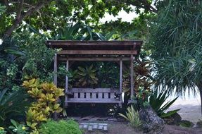 wooden swing in a tropical park