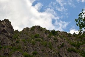 cloudy sky over a rock in green plants