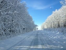 snowy road in the middle of a winter tale