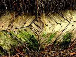 old door in the hay