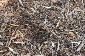 gardening mulch