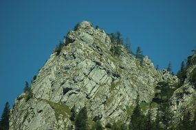 green trees on a rock against a blue sky