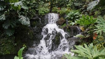 splendiferous Waterfall Cambodia