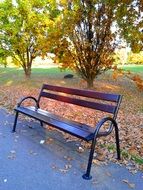 picturesque and pretty Bench