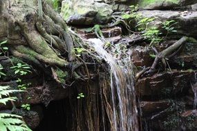 waterfall on a rock in spring