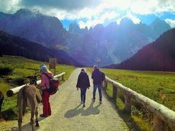 people and a donkey on a mountain road