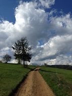 path in field Tatry Landscape
