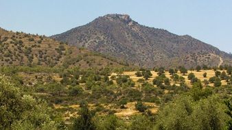 Cyprus Landscape