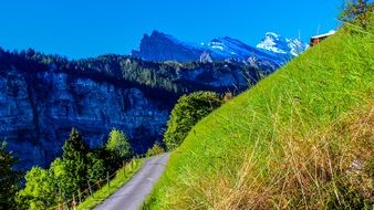 Landscape with the roads on the mountains