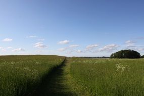 Landscape of the peaceful field and blue sky
