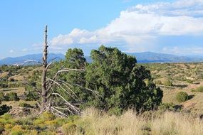 Desert ,New Mexico