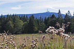 Resin Brocken View