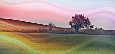 Landscape Light Nature drawing