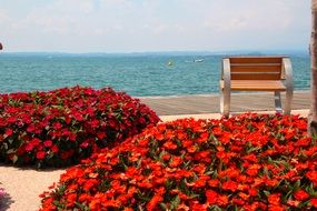 Bench near red flowers