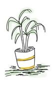 Illustration of green plants in a pot