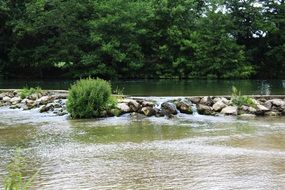 Charente River Nature