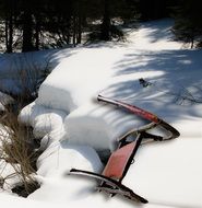 horny bob-sleigh in the forest in the mountains