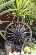 rural wooden wheel near the green plant