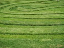spiral trimmed green lawn