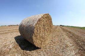 big bale of straw in the field on a sunny day