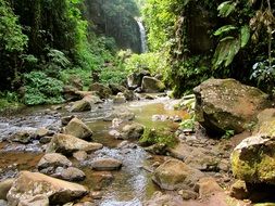 rocky river in the jungle