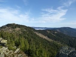panoramic view of a mountain with forest