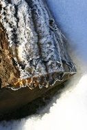 Icing Winter Nature Slovakia