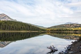 Patricia Lake Lake Jasper Canada