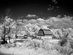 black and white photo of a barn on a ranch in North America