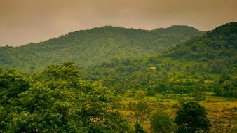 colorful landscape of green valley in the mountains