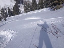 shadow of a skier on a snowy slope