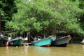 boats on a river in a rainforest in central america